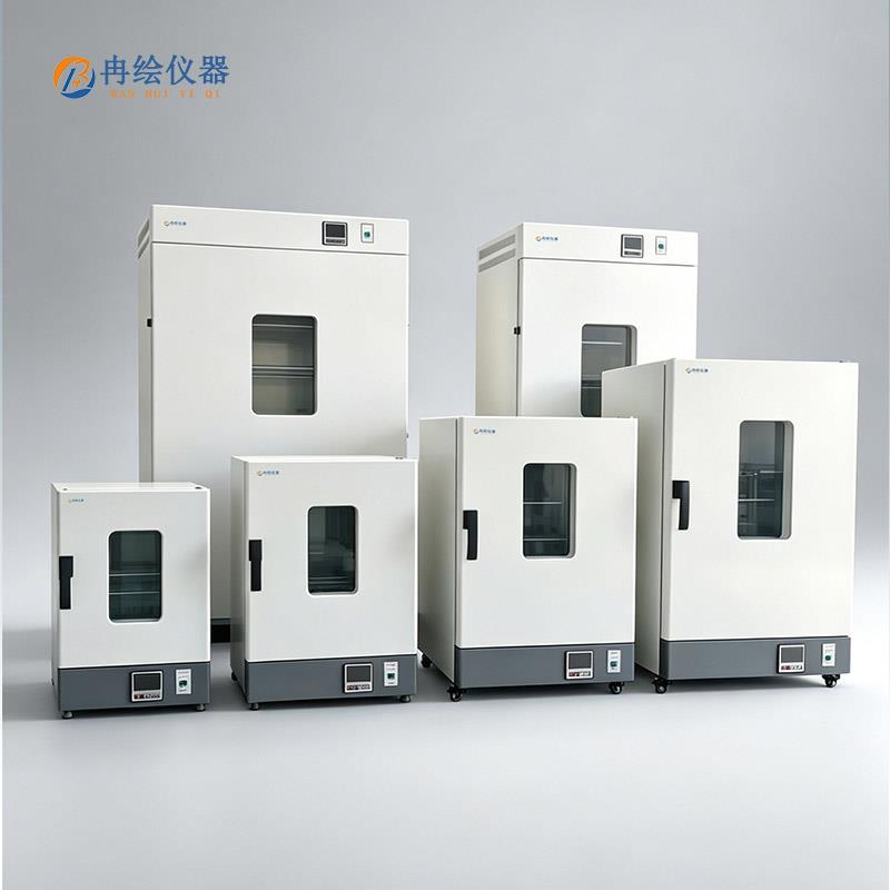 上海冉绘电热恒温鼓风干燥箱DHG-9030A