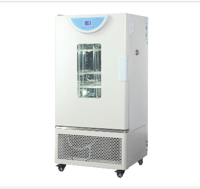 上海一恒霉菌培养箱（液晶屏）BPMJ-250F