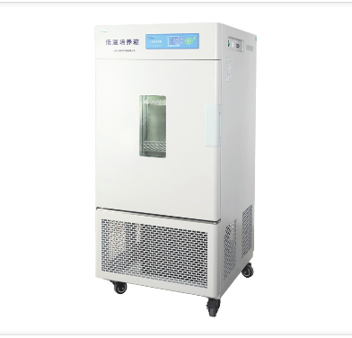上海一恒低温培养箱（低温保存箱）LRH-100CL