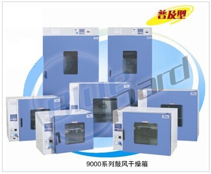 上海一恒电热鼓风干燥箱DHG-9015A