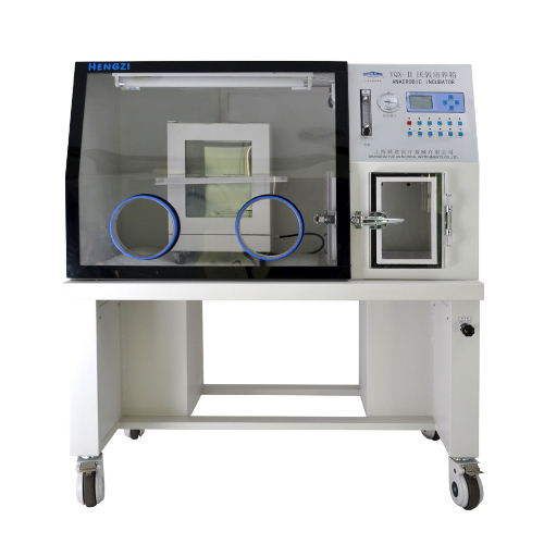 上海跃进厌氧培养箱(液晶屏显示）HYQX-II-D（桌面型）