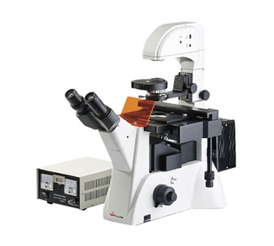 凤凰光学倒置荧光生物显微镜PH-YGD